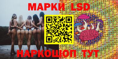 ECSTASY Камышлов