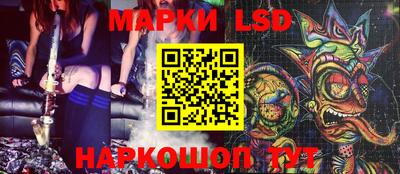 индика Кандалакша
