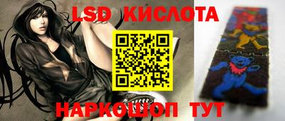 ECSTASY Камышлов