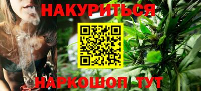 индика Кандалакша