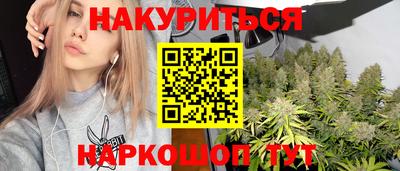 индика Кандалакша