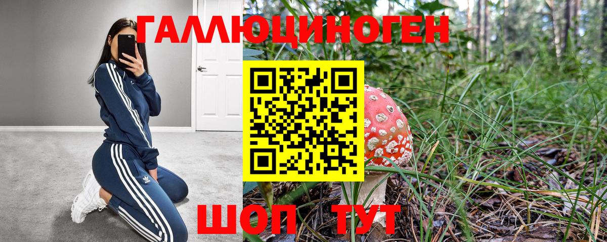 как найти закладки  Вход с VPN  Куйбышев  Галлюциногенные грибы прущие грибы 